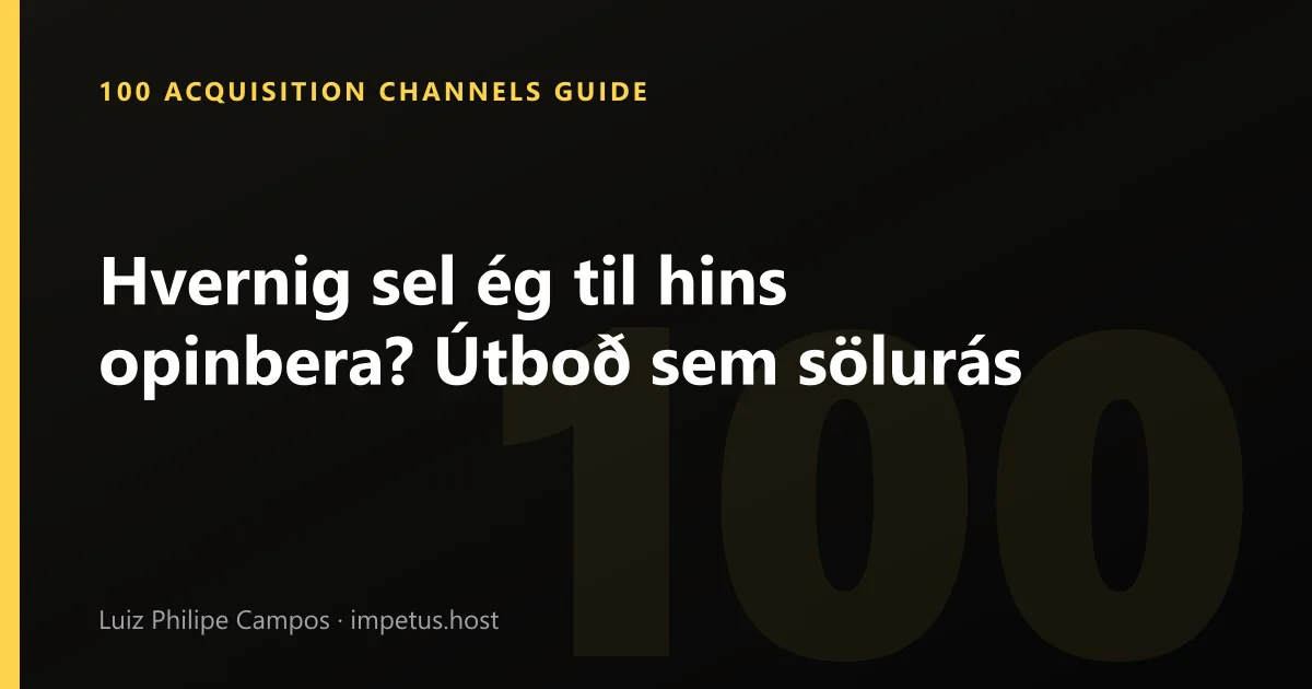 Hvernig sel ég til hins opinbera? Útboð sem sölurás