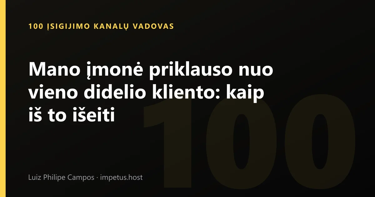 Mano įmonė priklauso nuo vieno didelio kliento: kaip iš to išeiti