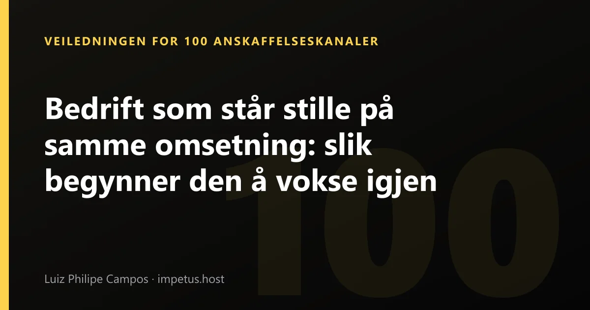 Bedrift som står stille på samme omsetning: slik begynner den å vokse igjen